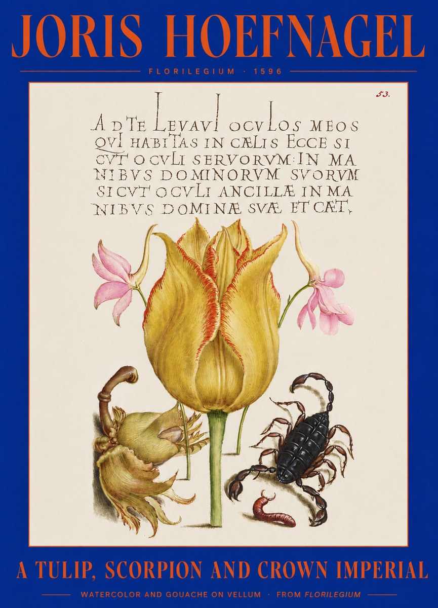 Joris Hoefnagel A Tulip, Scorpion and Crown Imperial No2 - Juliste