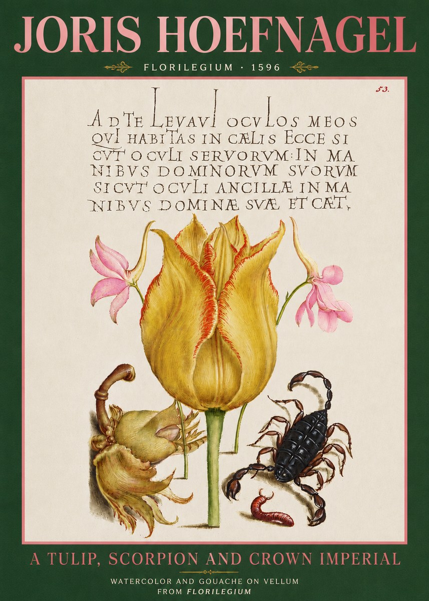 Joris Hoefnagel A Tulip, Scorpion and Crown Imperial No3 - Juliste