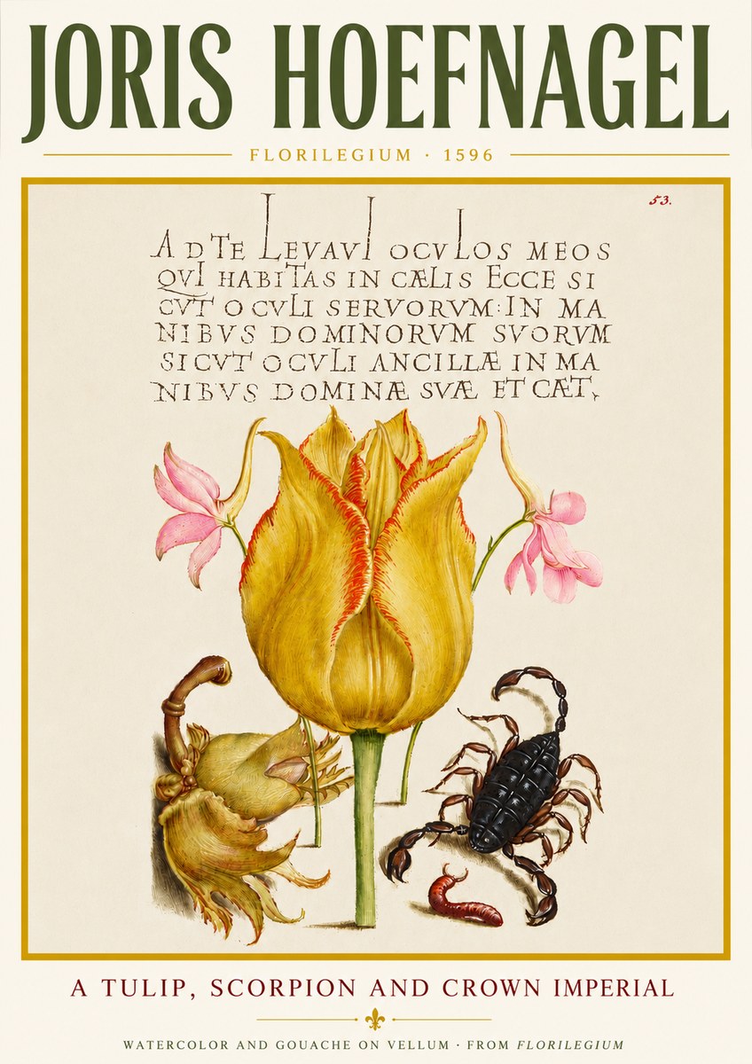 Joris Hoefnagel A Tulip, Scorpion and Crown Imperial No4 - Juliste