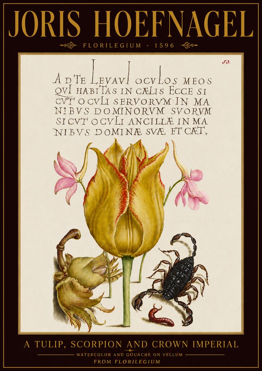 Joris Hoefnagel A Tulip, Scorpion and Crown Imperial No5 - Juliste