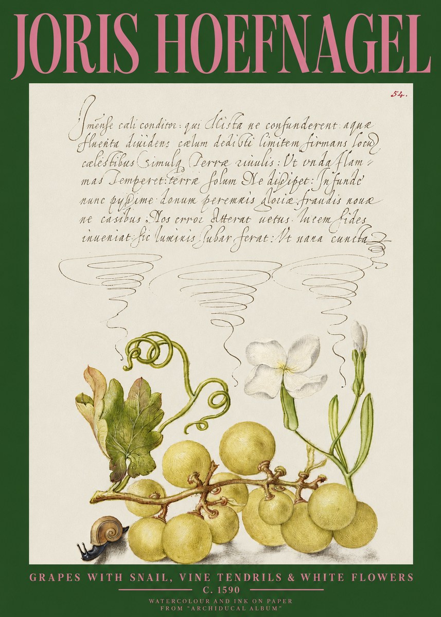 Joris Hoefnagel Grapes with Snail, Vine Tendrils & White Flowers No2 - Juliste