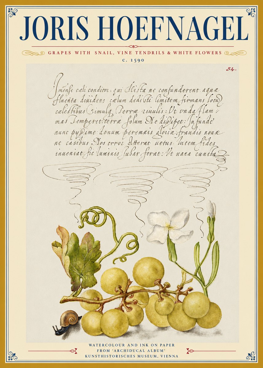 Joris Hoefnagel Grapes with Snail, Vine Tendrils & White Flowers No3 - Juliste