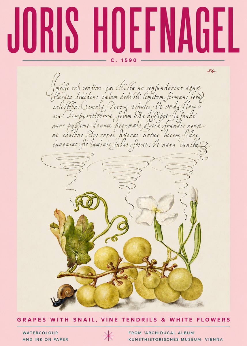 Joris Hoefnagel Grapes with Snail, Vine Tendrils & White Flowers No4 - Juliste