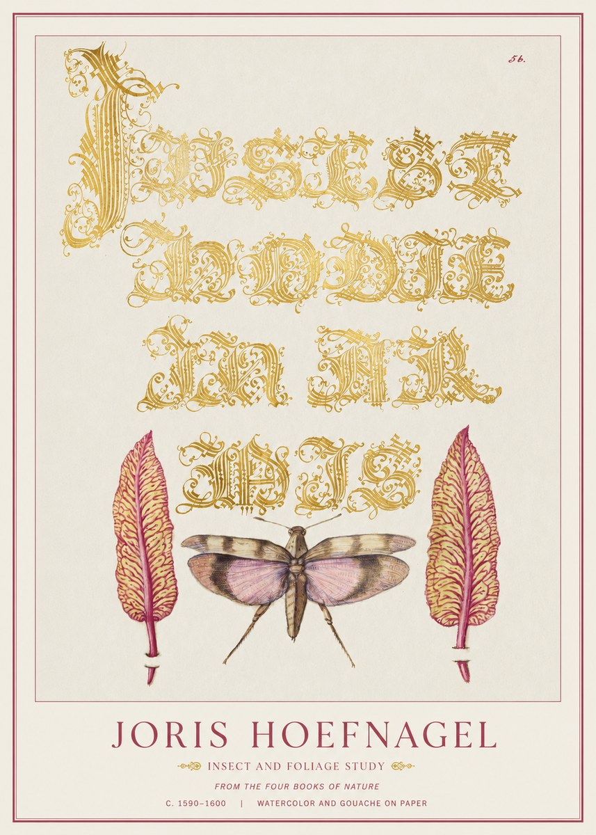 Joris Hoefnagel Insect and Foliage Study No1 - Juliste