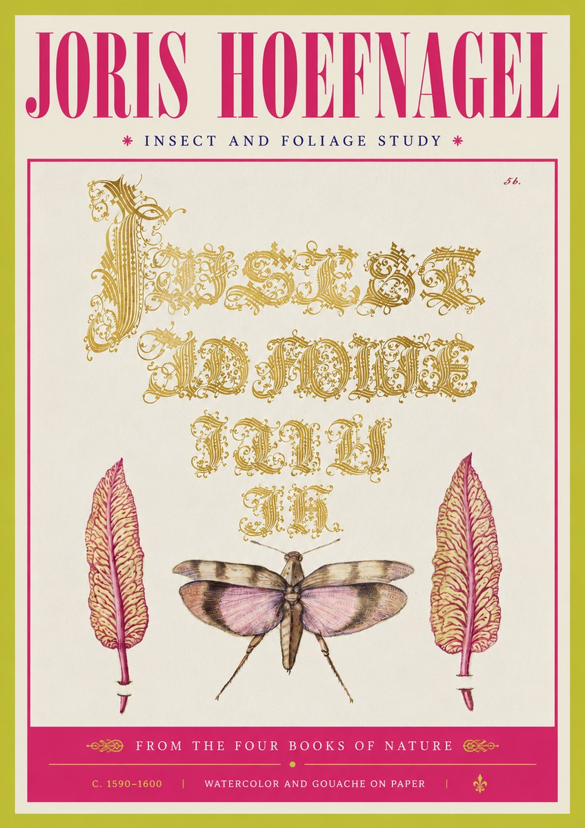 Joris Hoefnagel Insect and Foliage Study No4 - Juliste