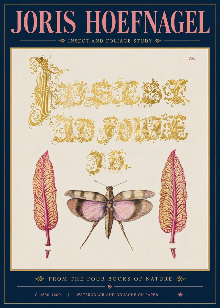 Joris Hoefnagel Insect and Foliage Study No5 - Juliste