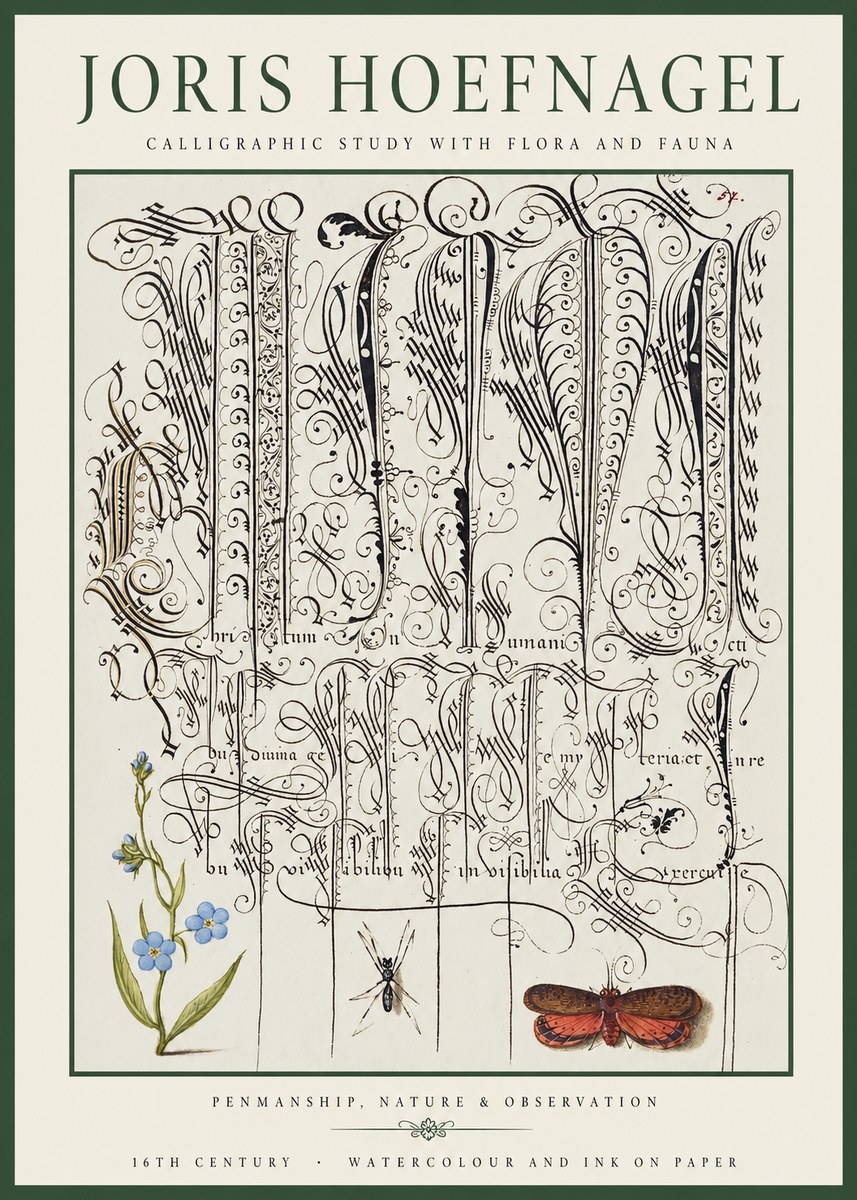 Joris Hoefnagel Calligraphic Study with Flora and Fauna No1 - Juliste