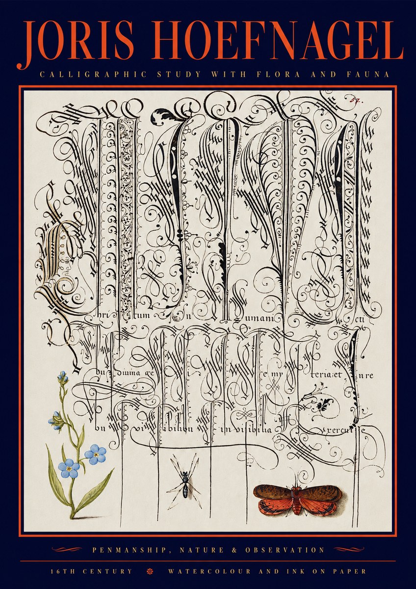 Joris Hoefnagel Calligraphic Study with Flora and Fauna No2 - Juliste