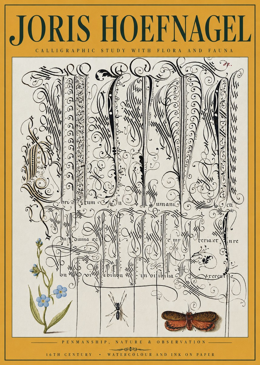 Joris Hoefnagel Calligraphic Study with Flora and Fauna No3 - Juliste