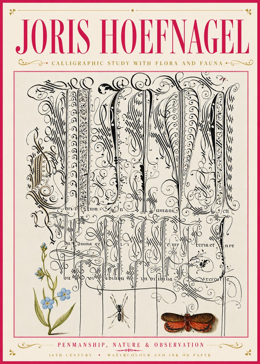 Joris Hoefnagel Calligraphic Study with Flora and Fauna No6 - Juliste