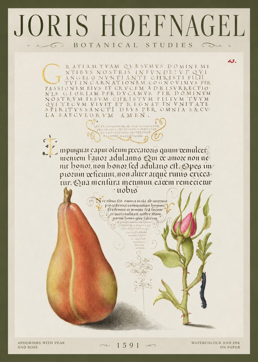 Joris Hoefnagel Aphorisms with Pear and Rose No1 - Juliste