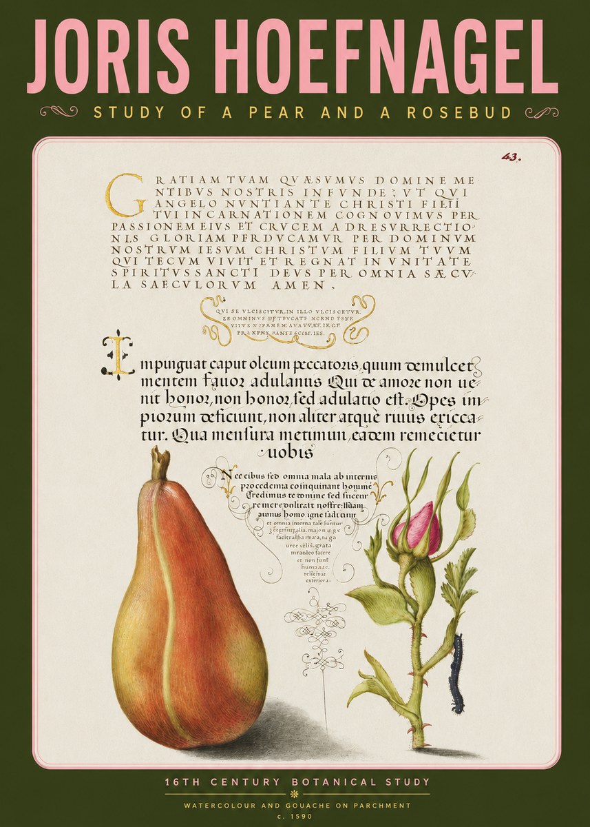 Joris Hoefnagel Aphorisms with Pear and Rose No4 - Juliste
