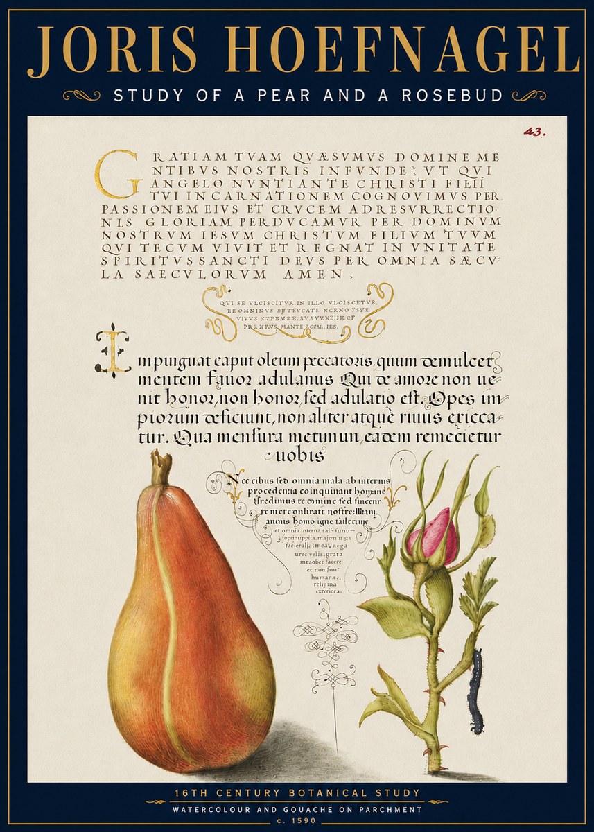 Joris Hoefnagel Aphorisms with Pear and Rose No6 - Juliste