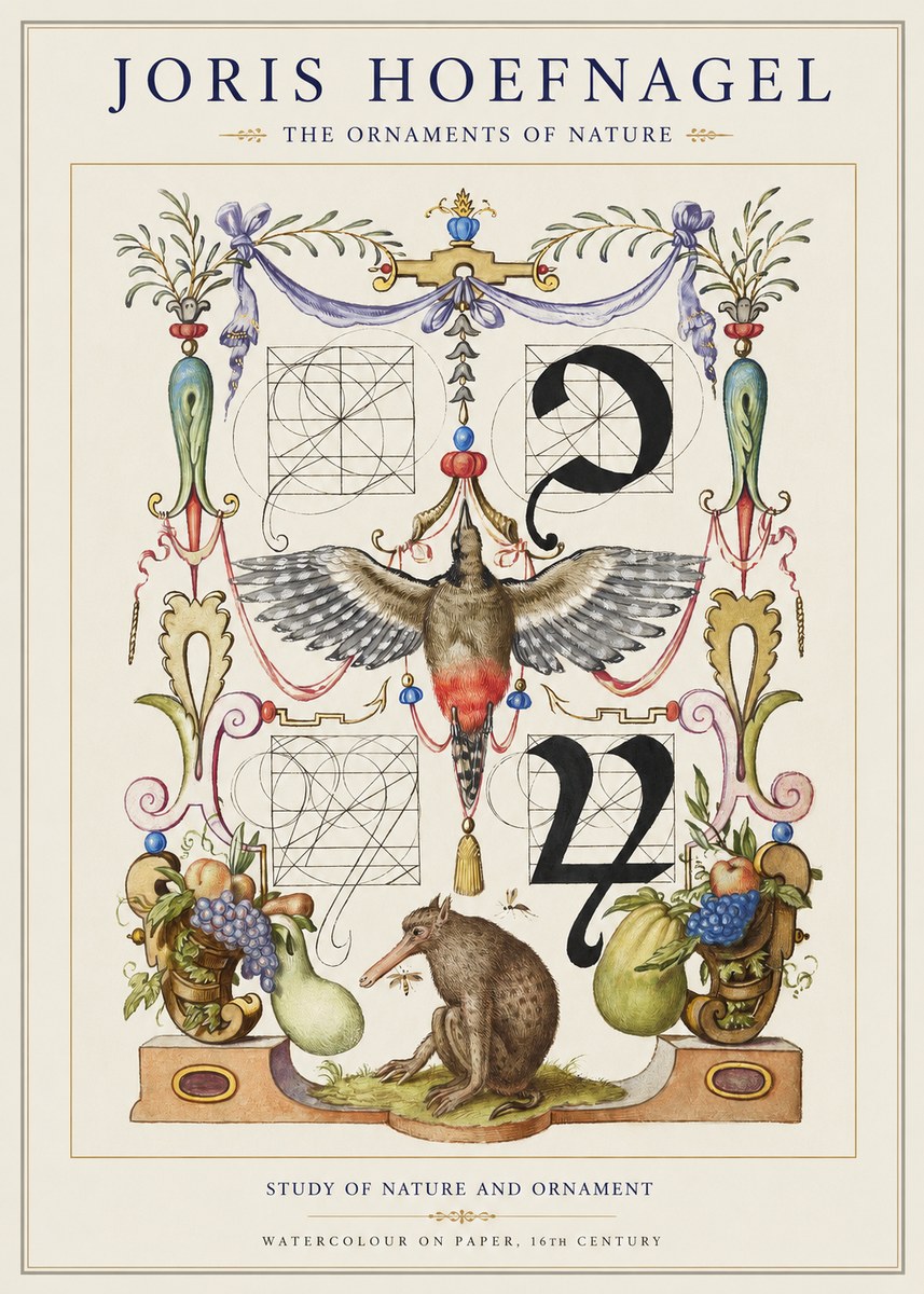 Joris Hoefnagel Study of Nature and Ornament No1 - Juliste