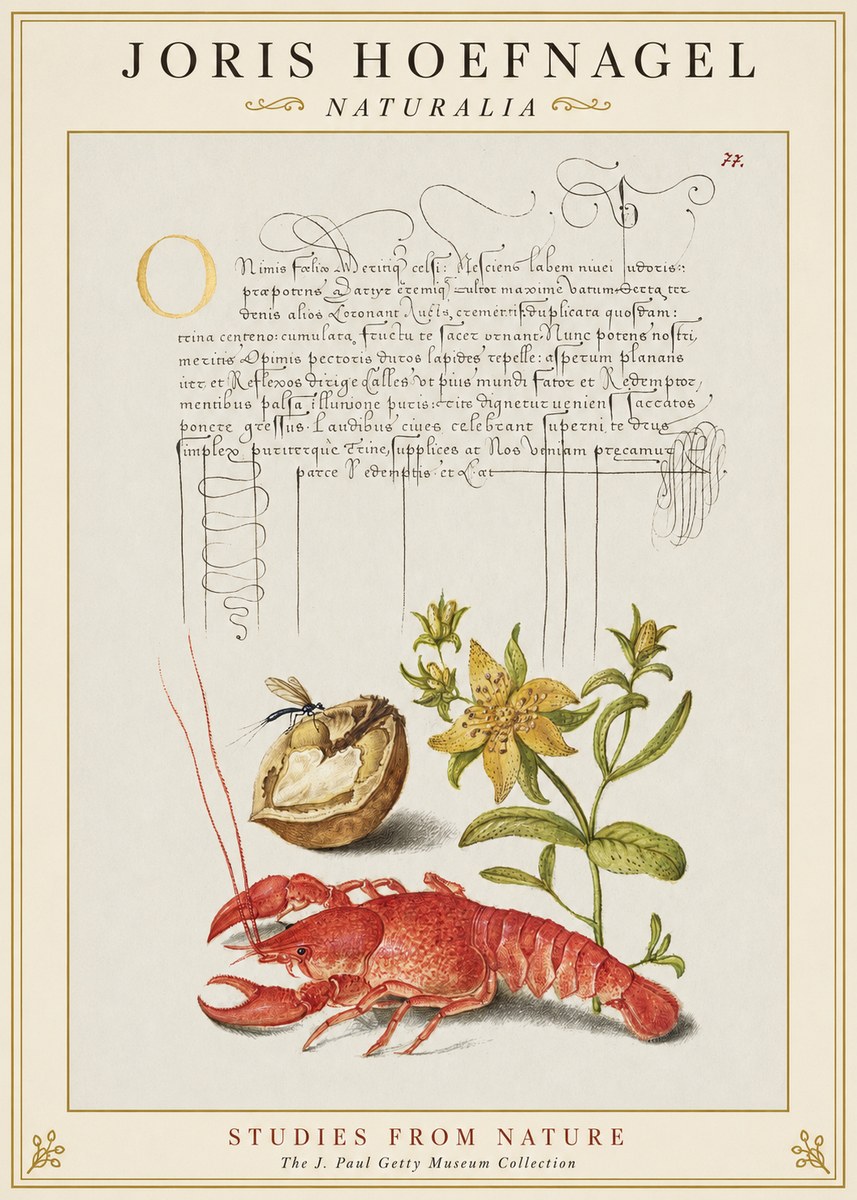 Joris Hoefnagel Studies from Nature No1 - Juliste