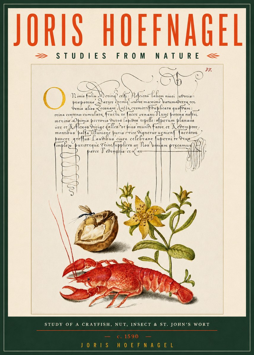 Joris Hoefnagel Studies from Nature No5 - Juliste