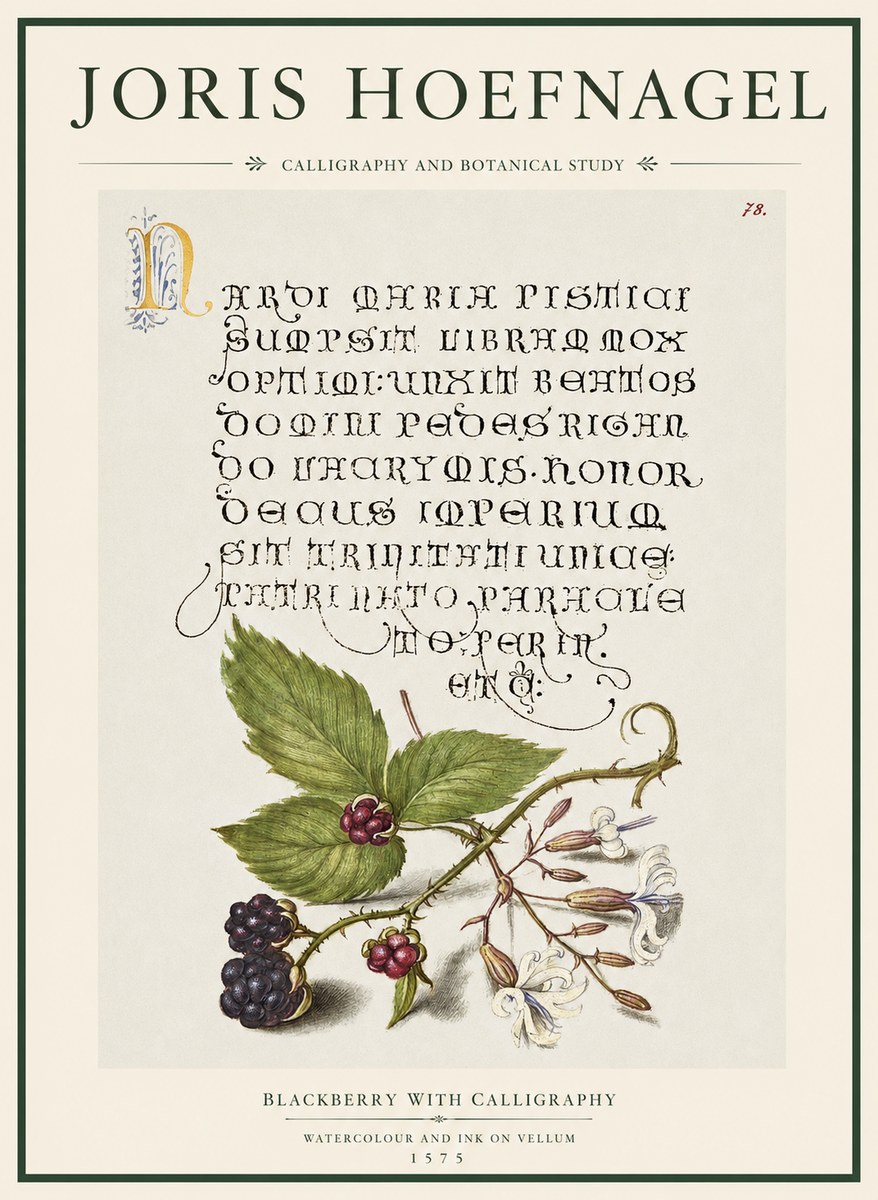 Joris Hoefnagel Calligraphy and Botanical Study II No5 - Juliste