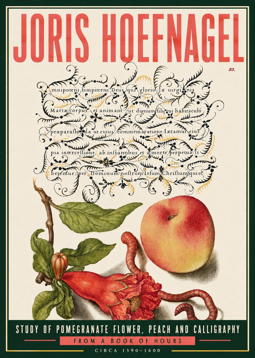 Joris Hoefnagel Study of Pomegranate Flower, Peach and Calligraphy from a Book of Hours No6 - Juliste