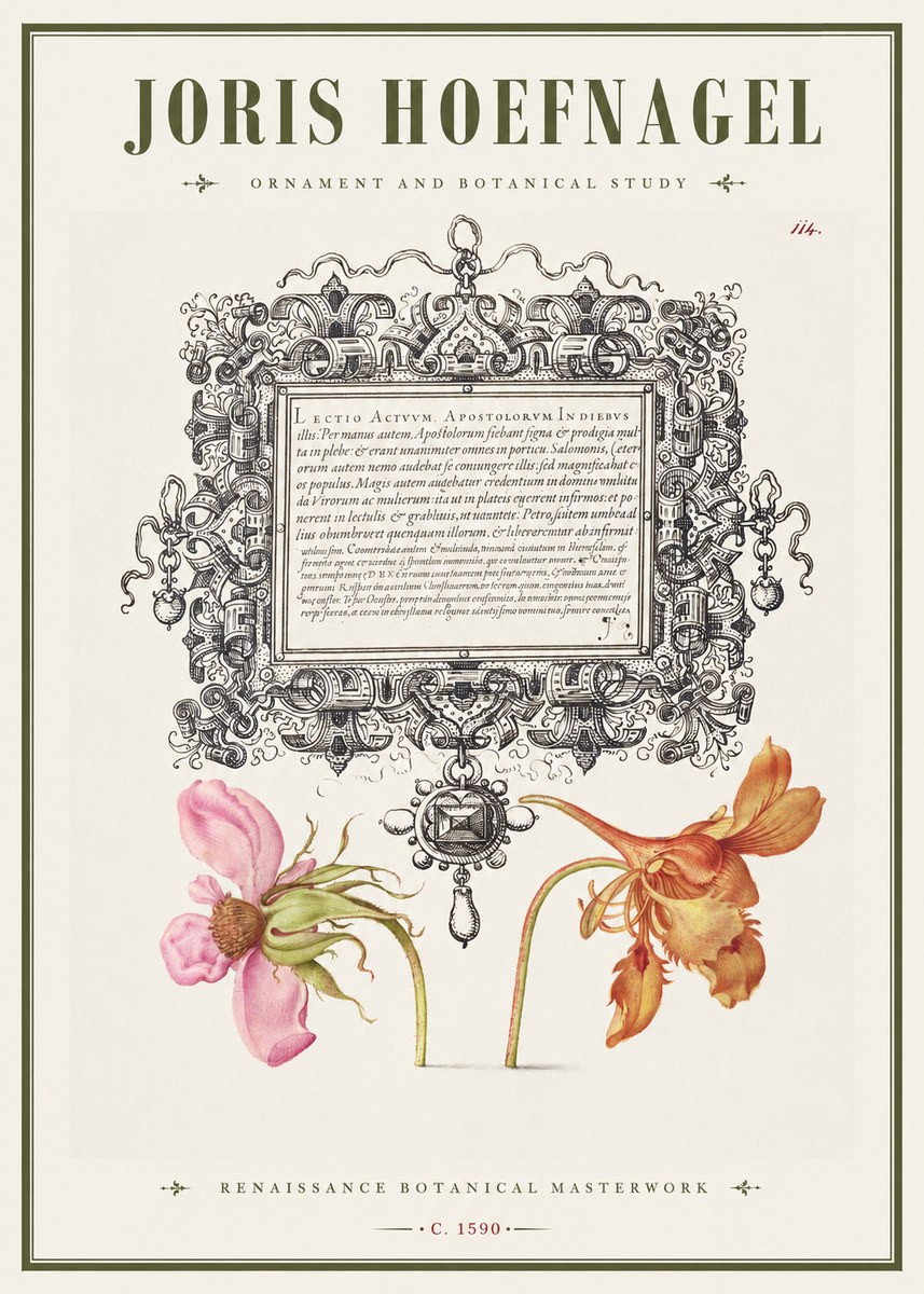 Joris Hoefnagel Ornament and Botanical Study No1 - Juliste