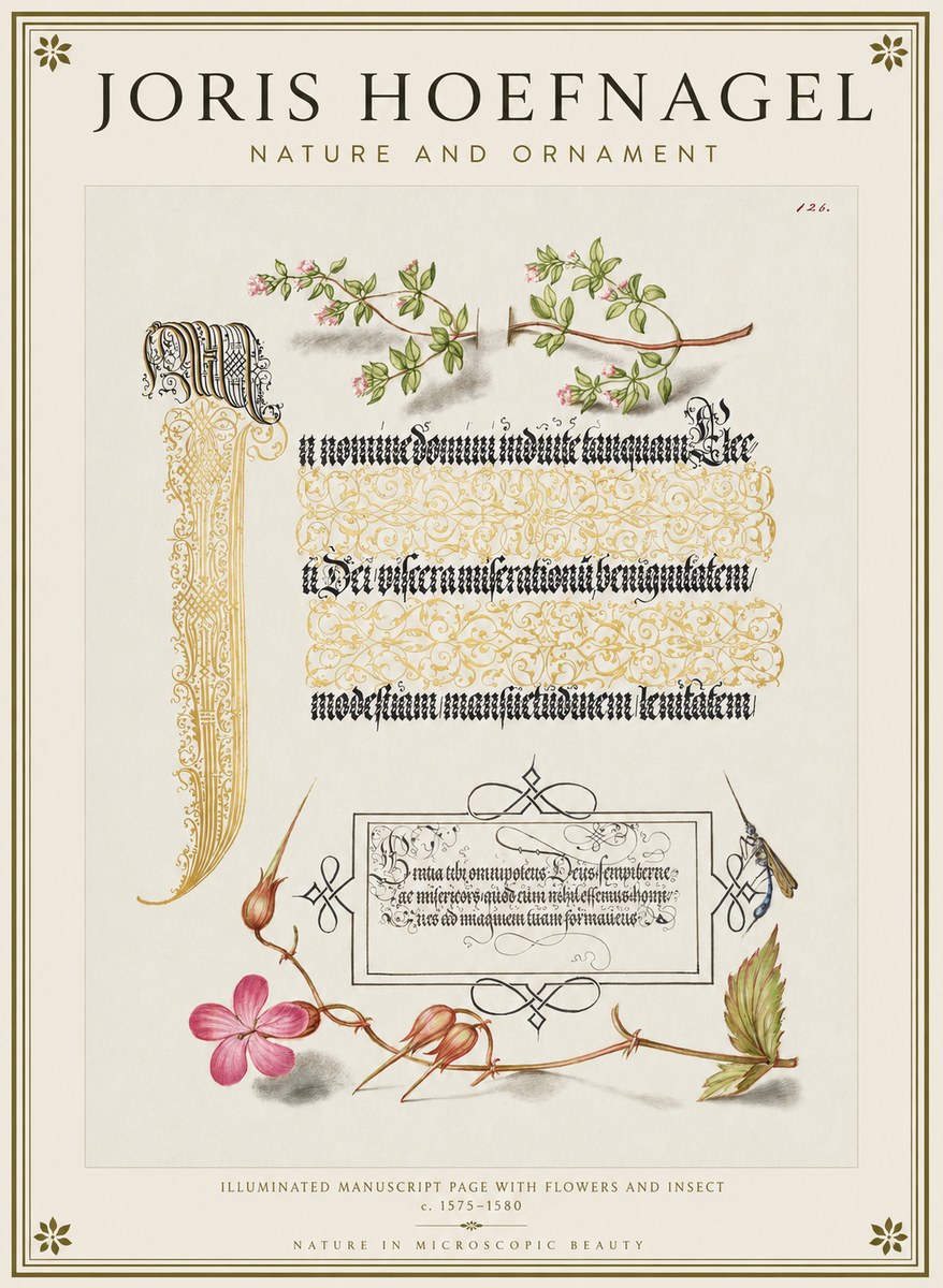Joris Hoefnagel Illuminated Manuscript Page with Flowers and Insect No1 - Juliste