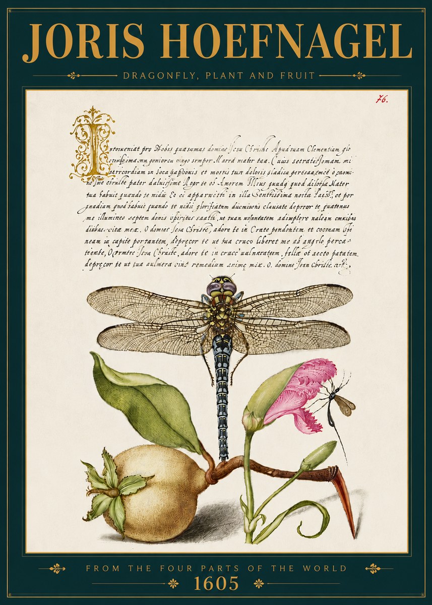 Joris Hoefnagel Dragonfly, Plant and Fruit No5 - Juliste