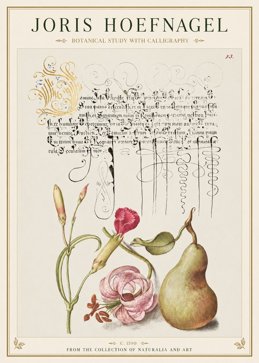 Joris Hoefnagel Botanical Study with Calligraphy II No1 - Juliste