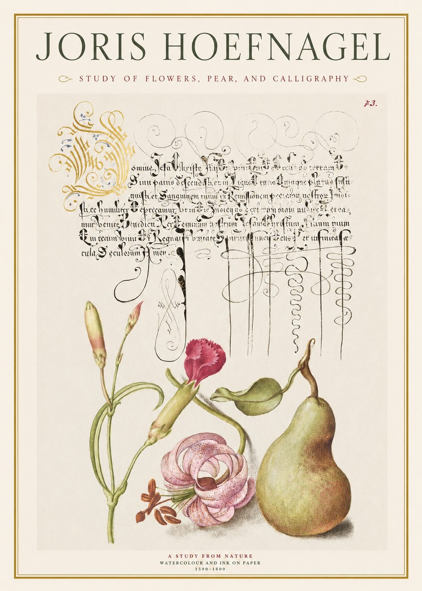 Joris Hoefnagel Botanical Study with Calligraphy II No2 - Juliste