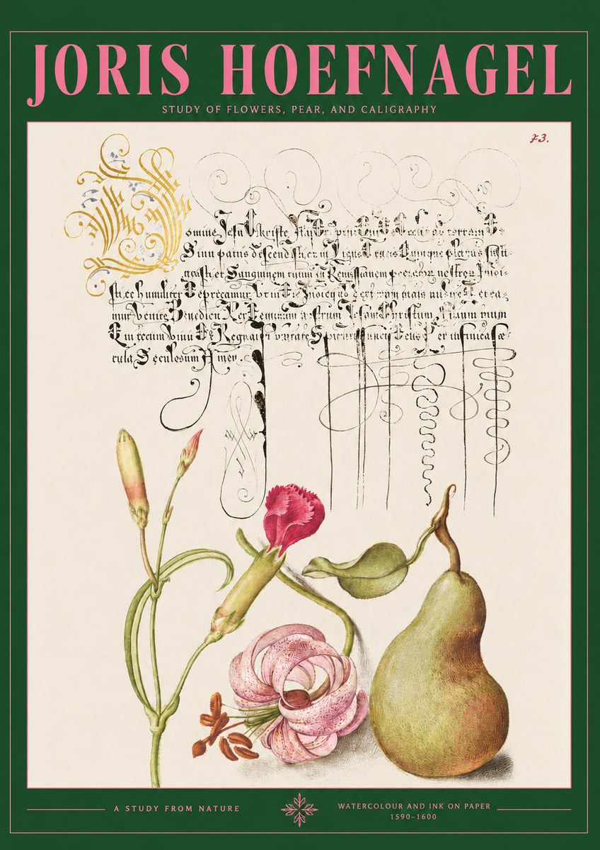 Joris Hoefnagel Botanical Study with Calligraphy II No3 - Juliste