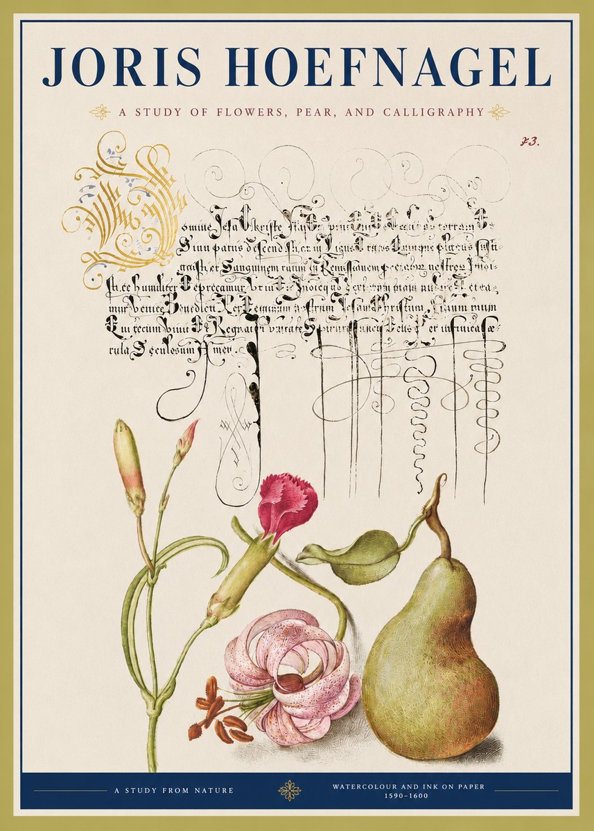 Joris Hoefnagel Botanical Study with Calligraphy II No4 - Juliste