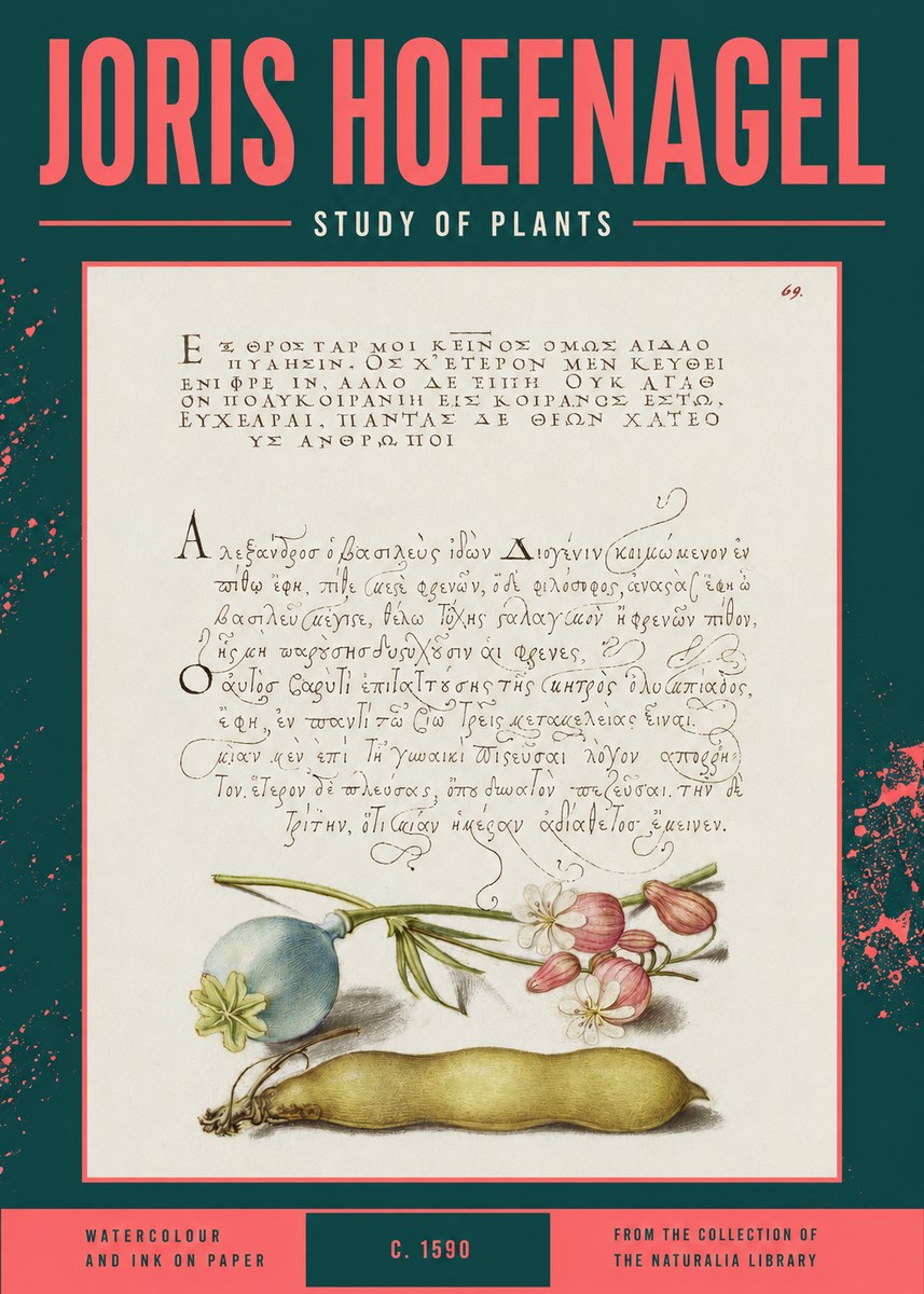 Joris Hoefnagel Study of Plants I No2 - Juliste