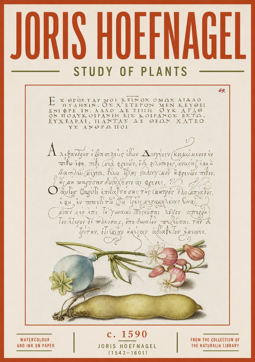 Joris Hoefnagel Study of Plants I No5 - Juliste
