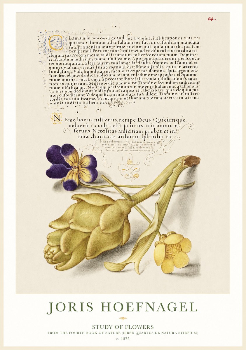 Joris Hoefnagel Botanical Study with Calligraphy III No2 - Juliste