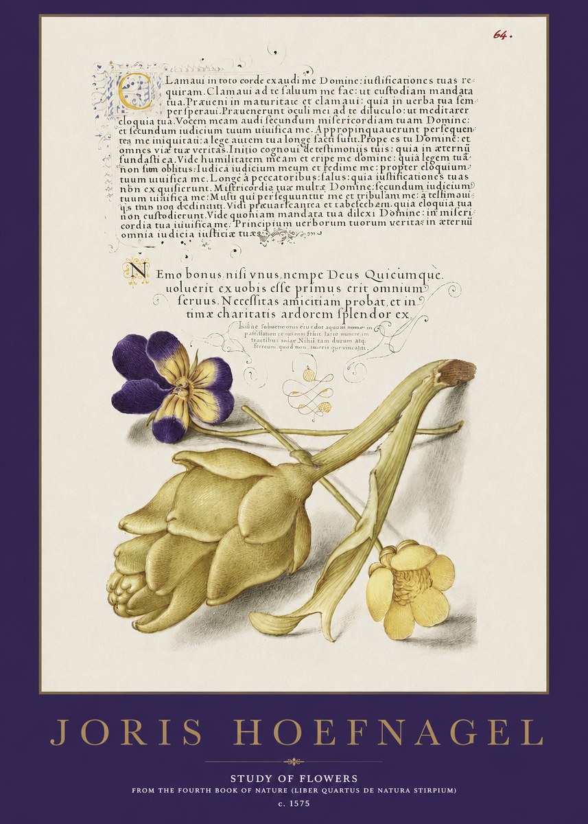 Joris Hoefnagel Botanical Study with Calligraphy III No3 - Juliste