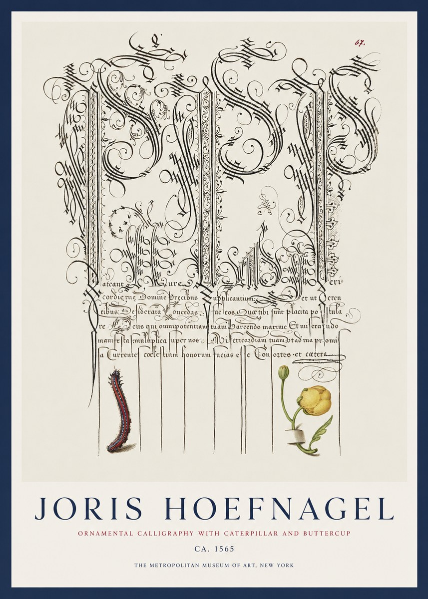 Joris Hoefnagel Ornamental Calligraphy with Caterpillar and Buttercup No1 - Juliste