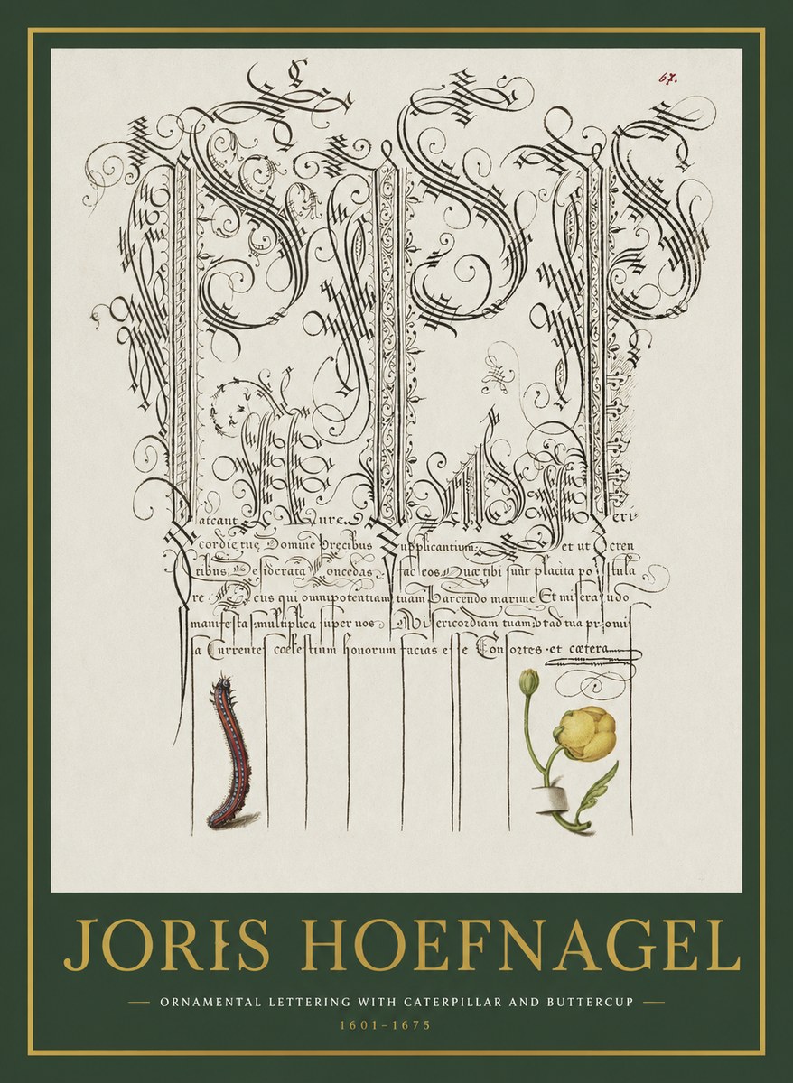 Joris Hoefnagel Ornamental Calligraphy with Caterpillar and Buttercup No2 - Juliste