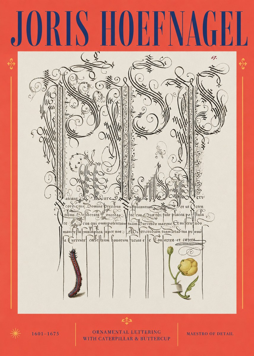 Joris Hoefnagel Ornamental Calligraphy with Caterpillar and Buttercup No3 - Juliste