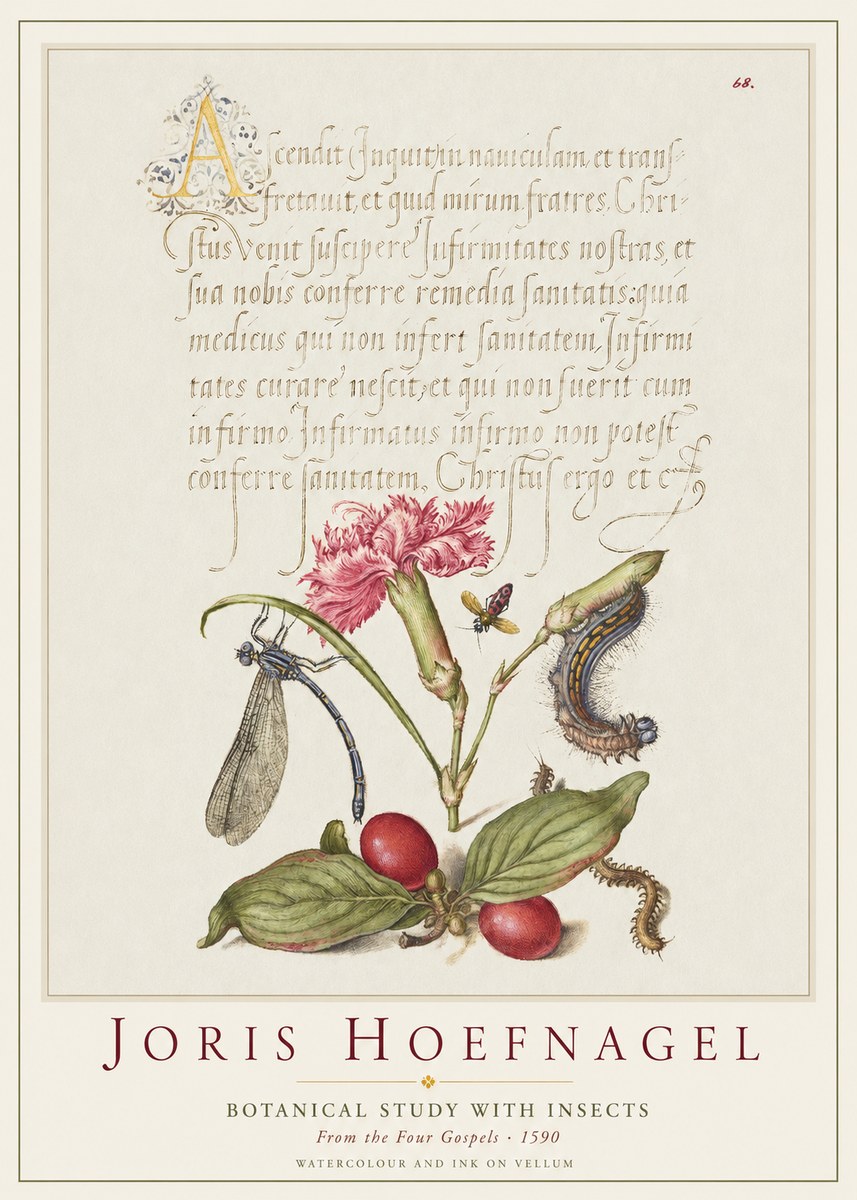 Joris Hoefnagel Botanical Study with Insects No1 - Juliste