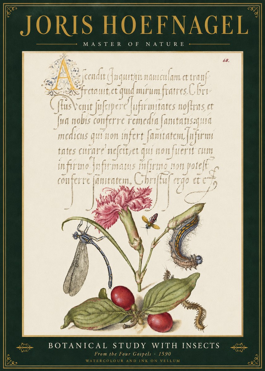 Joris Hoefnagel Botanical Study with Insects No3 - Juliste