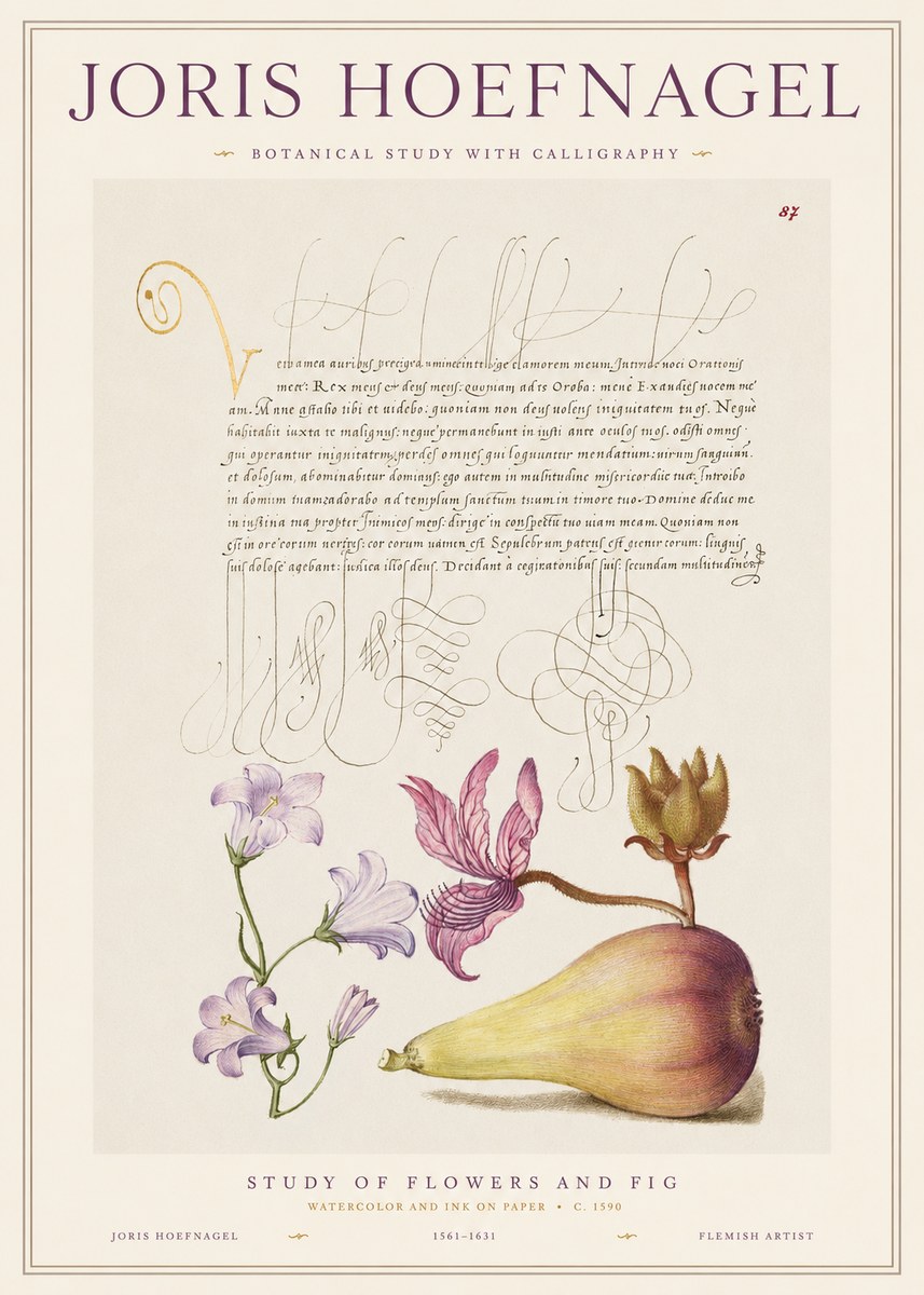 Joris Hoefnagel Study of Plants II No2 - Juliste