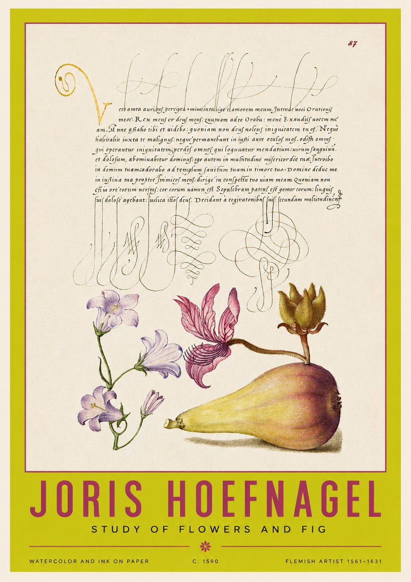 Joris Hoefnagel Study of Plants II No4 - Juliste