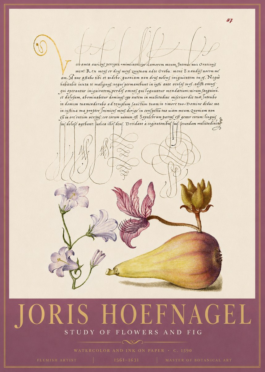 Joris Hoefnagel Study of Plants II No5 - Juliste