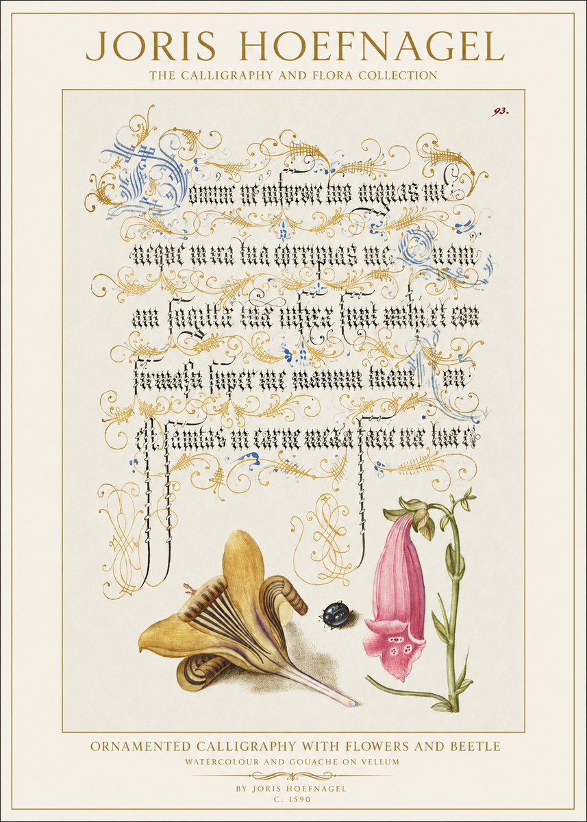 Joris Hoefnagel Ornamented Calligraphy with Flowers and Beetle No1 - Juliste
