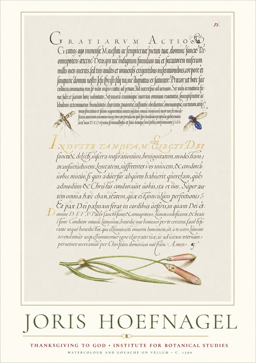Joris Hoefnagel Thanksgiving to God • Institute for Botanical Studies No1 - Juliste
