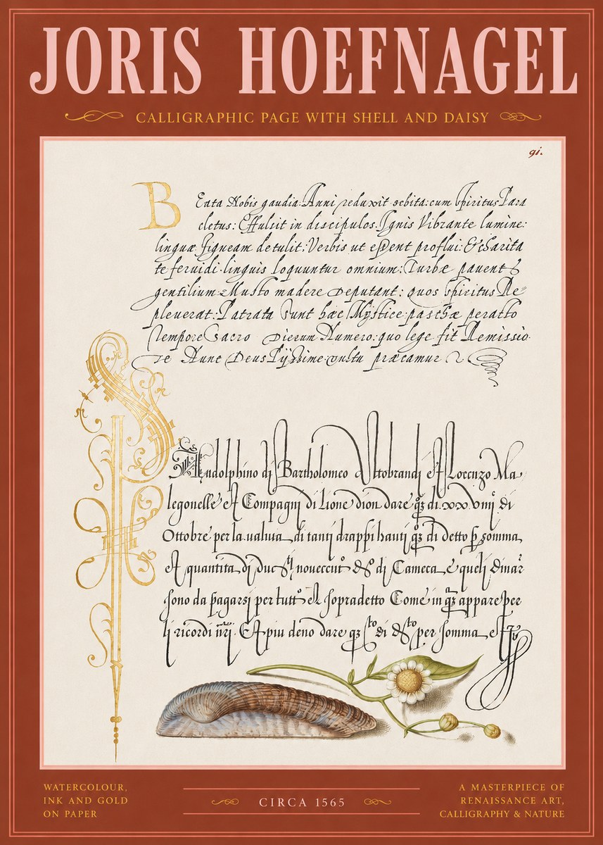 Joris Hoefnagel Calligraphic Page with Shell and Daisy No2 - Juliste