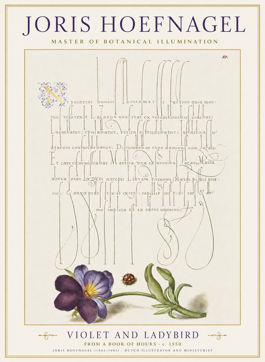 Joris Hoefnagel Violet and Ladybird No1 - Juliste