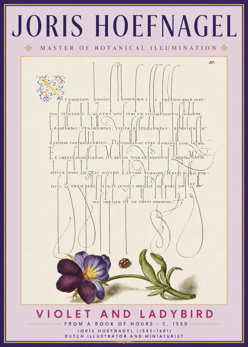 Joris Hoefnagel Violet and Ladybird No3 - Juliste