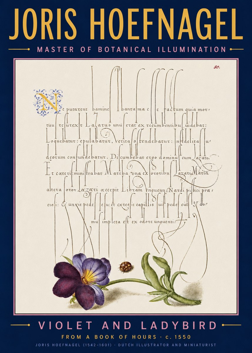 Joris Hoefnagel Violet and Ladybird No5 - Juliste