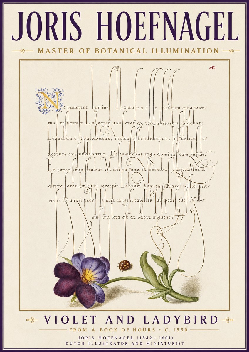 Joris Hoefnagel Violet and Ladybird No6 - Juliste
