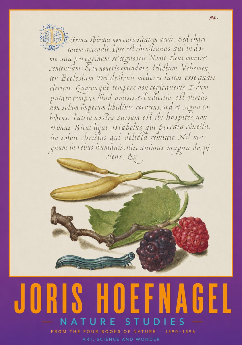 Joris Hoefnagel Nature Studies No2 - Juliste