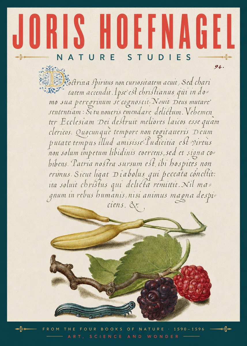 Joris Hoefnagel Nature Studies No5 - Juliste